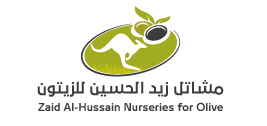 Olives Nurseries