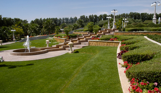 Agricultural Projects 